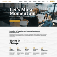 A screenshot of the Propeller homepage. The top of the page has a large hero that says "Let’s Make Momentum. Unlock your business’s full potential with expert insights and strategies." in front of a photo of three people in a conference room.